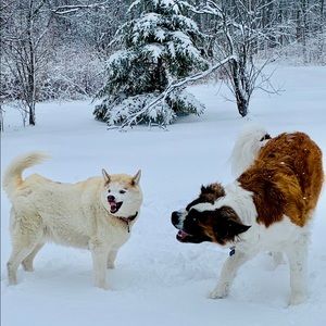 Meet your Posher, Nancy